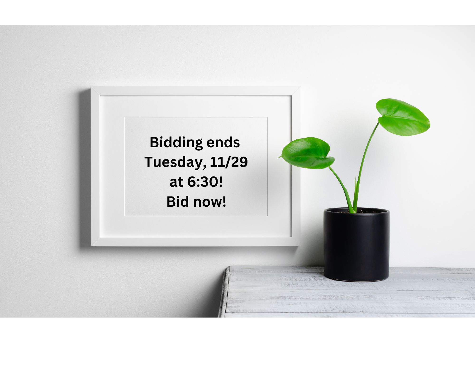 Plant on a desk with  framed announcement that bidding ends 11/29