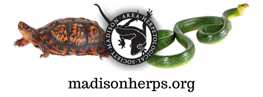 Madison Area Herpatological Society Turtle, lizard logo and snake