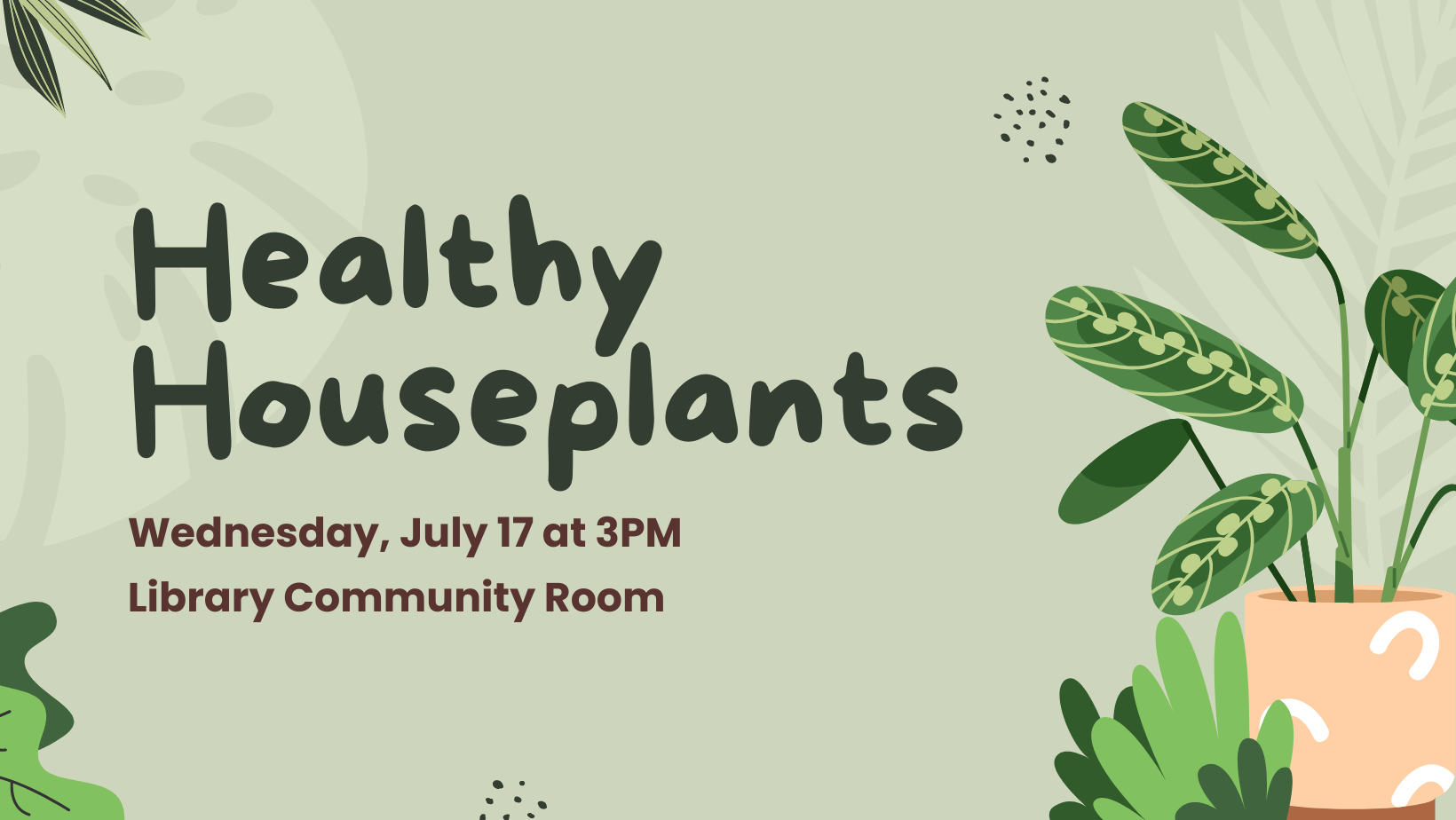 healthy house plants on pale green background