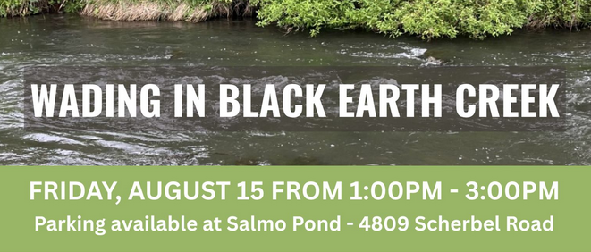 Wading in Black Earth Creek in bold white letters over a photo of the creek