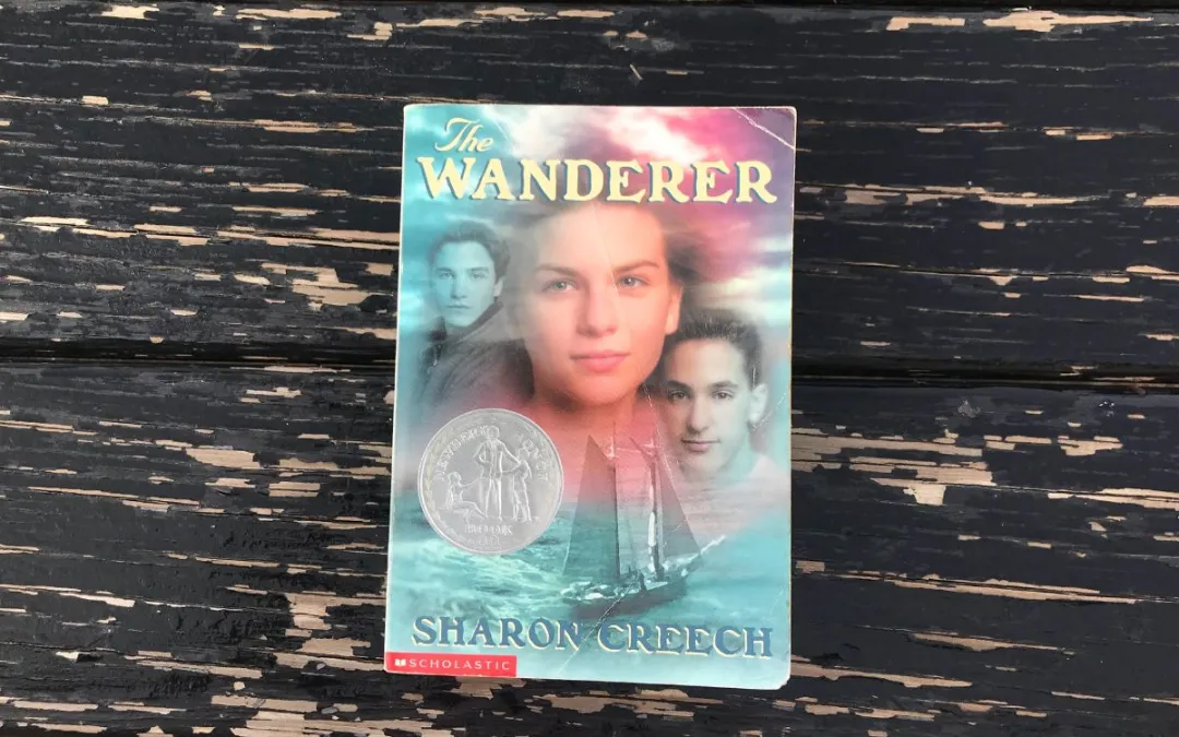 Book, The Wanderer on a background of rough, worn wood