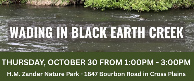 Wading in Black Earth Creek