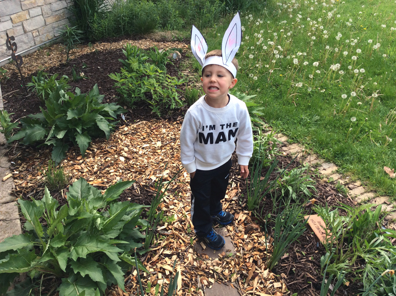 small child wearing bunny ears in a garden
