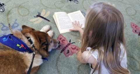 Little girl reads to a dog
