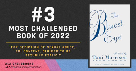 Banner from the ALA describing The Bluest Eye as the third most challenged book of 2022