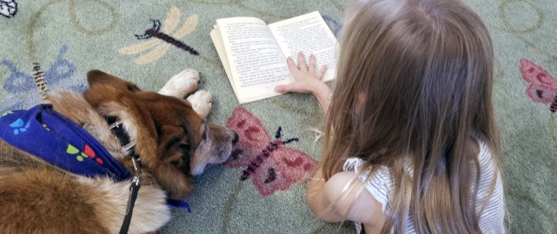 Little girl reads to a dog