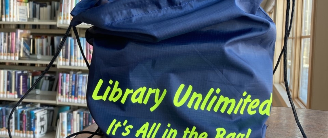 Library Unlimited branded bag full of books
